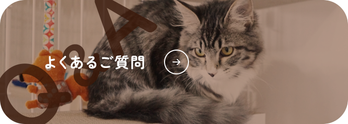 よくあるご質問