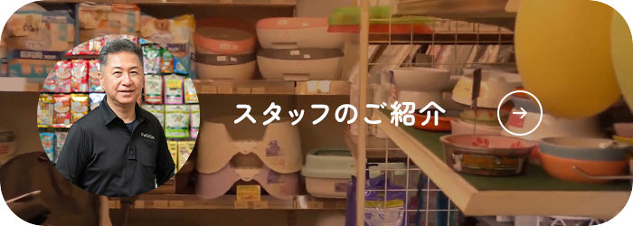 スタッフのご紹介